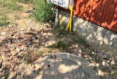 Teren de 1366 mp, în Zlătărei - 2