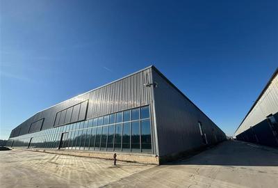 Spațiu industrial, de 5,000 mp, în Afumați - 2