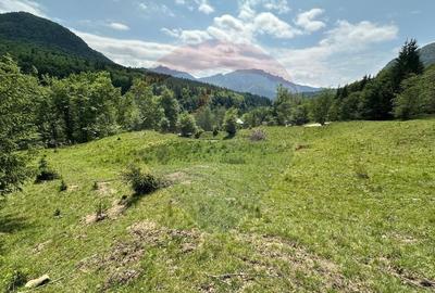Teren 8500 mp, Valea Dalghiului - Dalghiu - vedere catre Ciucas - 9