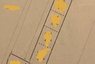 De vanzare terenuri extravilane in Sfantu Gheorghe - 6