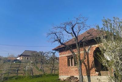 Casă cu 3 camere în Exterior Vest - 1