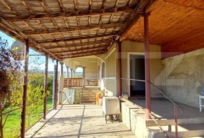 Casa renovabila cu 11508 mp teren, in Copaceni - 6