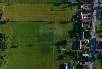 Liniste, aer curat si pamant bun - 7255 mp in Vama Buzaului - 15