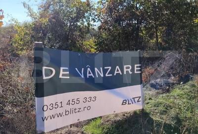 Teren Construcții intravilan de 1800 mp, în Cârcea - 3