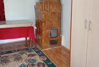 Casă cu 3 camere cu Teren 3500 Mp în Central - 10