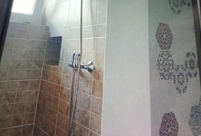 Apartament cu 2 camere decomandat în Amara - 5