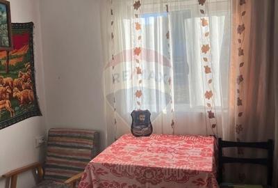 Teren+casă lemn-zona superba-Statiunea Belis-Fantanele,Giurcuta de Sus - 7