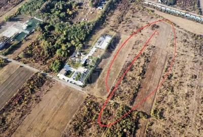 TEREN INTRAVILAN // HIPODROM // 5000 MP - 5