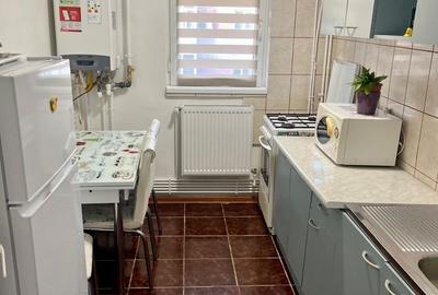 Apartament cu 2 camere semidecomandat în Craiovița Nouă