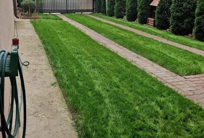 Vila Individuală P+1+M , Strada Cireșului, Fundeni - 44