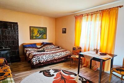 Proprietate Slobozia-Roznov, casa mansardata, teren si livada - 6