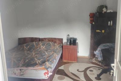 Casă cu 3 camere cu Teren 4000 Mp în Urseiu - 5