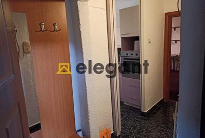 Apartament cu 2 camere semidecomandat, mobilat în Brazda lui Novac - 7