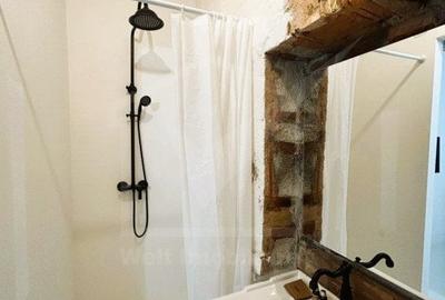 Oportunitate de business, zona ultracentrala, 8 camere Oportunitate de business, zona ultracentrala, 8 camere - 12