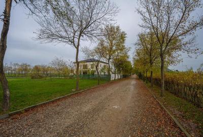 Teren de 1133 mp, în Afumați - 3