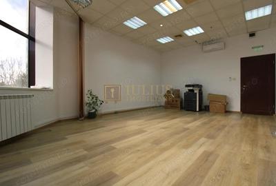 Cladirea Enel, 33 mp, Luminos. - 2