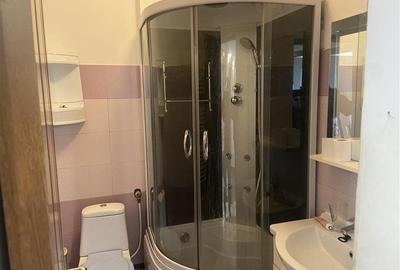 Apartament cu 2 camere decomandat, mobilat în Sud - 12