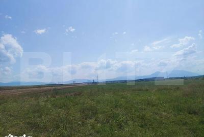 Teren de 50000 mp, în Prejmer