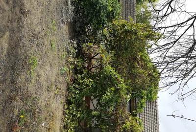 Casă cu 3 camere în Central - 3