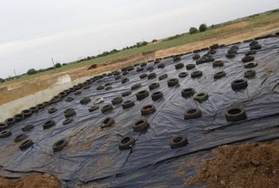 Ferma zootehnică funcțională, populată cu peste 200 capete bovine, aproape de Sâ - 10