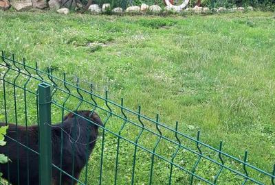 Vand casa la 34km de Bistrita. - 2