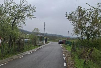 Teren de 3000 mp, în Predeal - 7