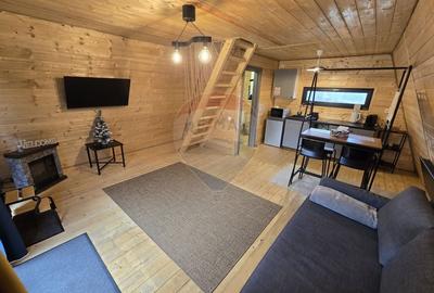 Proprietate Speciala in Gura Raului, Sibiu - Doua Cabane A-Frame - 3