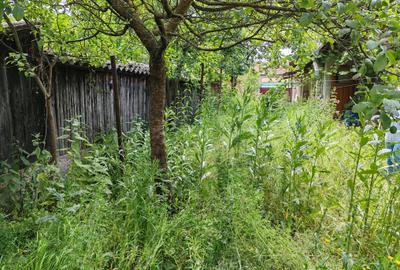 Casa 4 camere libera la vanzare VLADENI - 22