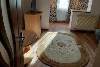 Apartament cu o camera de inchiriat - 10