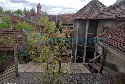 Teren de 501 mp, în Cantemir