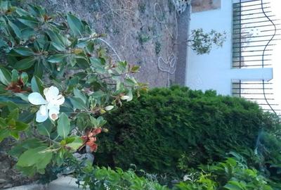 Casă cu 5 camere cu Teren 300 Mp în Central - 1