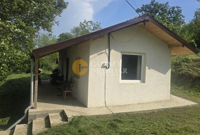 Casă individuală cu 2 camere cu Canalizare în Probota - 2