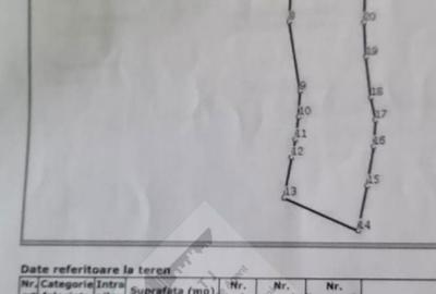 Casă cu 4 camere decomandat în Garoafa - 5