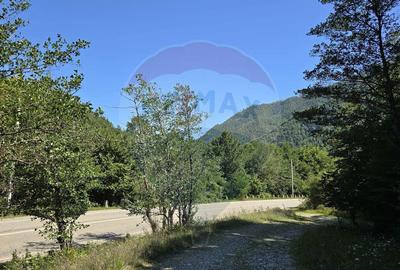 Teren de 4000 mp, în Păscoaia - 2