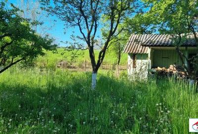Teren în Bercu Roșu - 6