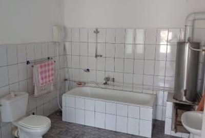 Casa vanzare Lapusnicu Mare - 6