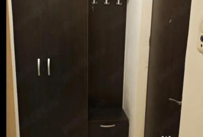 Garsonieră în Tineretului