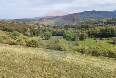 Teren Construcții intravilan de 1500 mp, în Damiș - 1