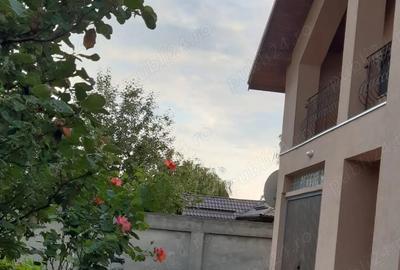 Casa rustica P+M Buftea - 6