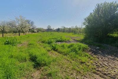 Casă cu 5 camere în Zădăreni - 6