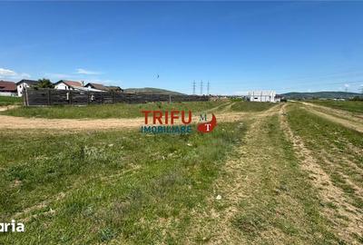 Teren de 718 mp, în Cetate - 2