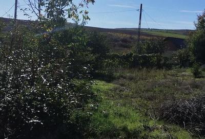 Casă cu Teren 1550 Mp în Somova - 2