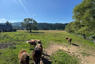 Vanzare 33400 parcelat- 18 loturi - Plaiul Sarului la sosea- microdezvoltare - 8