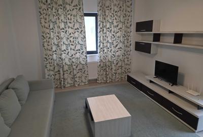 Apartament cu 2 camere decomandat în Craiovei - 8