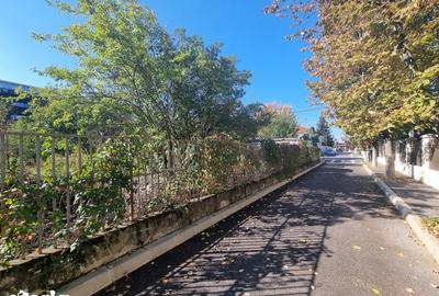 Teren de 5300 mp, în Dămăroaia - 6