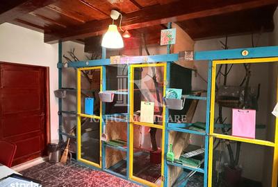 Casă cu 5 camere cu Teren 2497 Mp în Cefa - 7