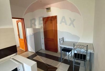 Apartament cu 1 camere decomandat în Săsar - 4