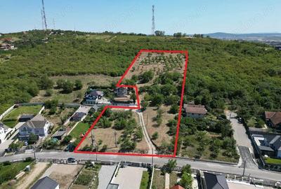 1.4 HA Teren intravilan - Str. Sofiei - NYMPHAEA - IMOBIHOR - 2