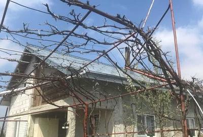 Casă cu 4 camere cu Teren 180 Mp în Răchiți - 7