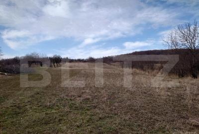 Teren intravilan 3712 mp + 2600 mp extravilan in Dobrovat - 2